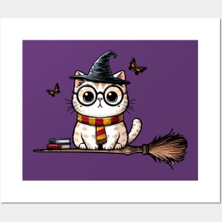 Witch cat fly on broom Posters and Art